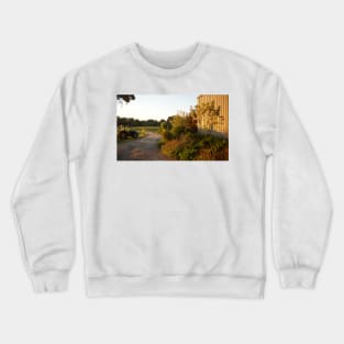 Driveway  - Magpie Springs -Adelaide Hills Wine Region - Fleurieu Peninsula by South Australian artist Avril Thomas Crewneck Sweatshirt